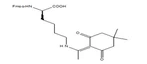 Fmoc-D-Lys(Dde)-OH